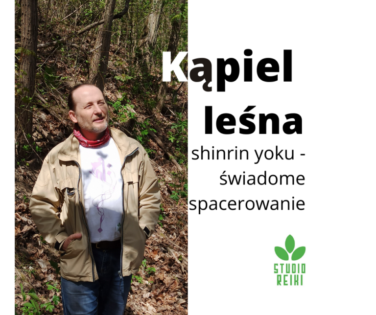 Kąpiel leśna – shinrin yoku